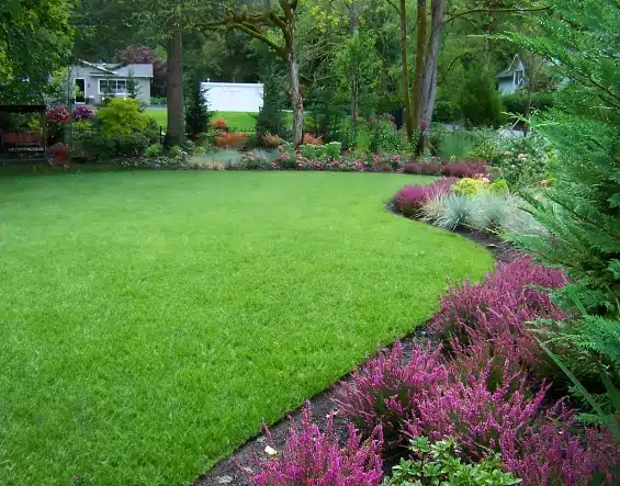 Lewis Landscape Design
