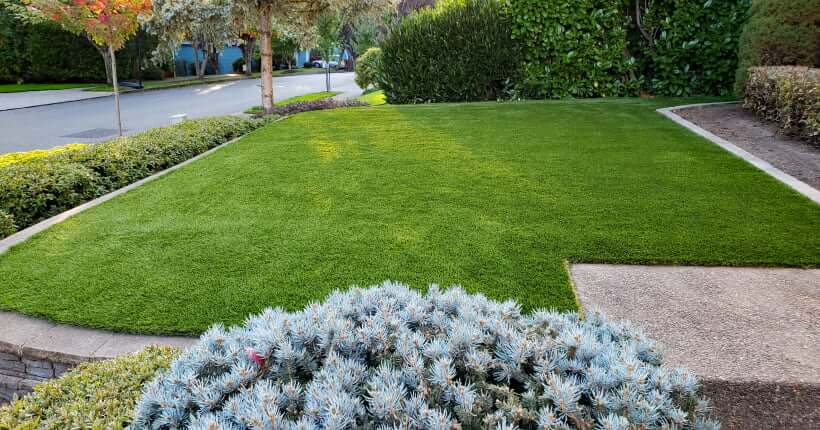 Synthetic Turf in Portland Beaverton Oregon