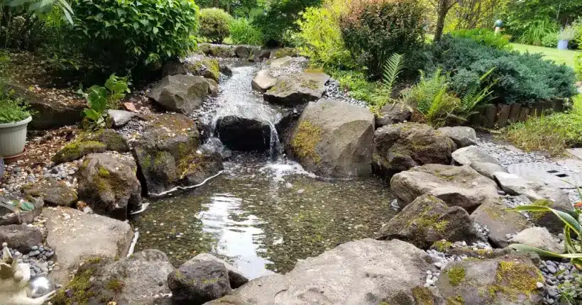 Water Features Pond Portland OR