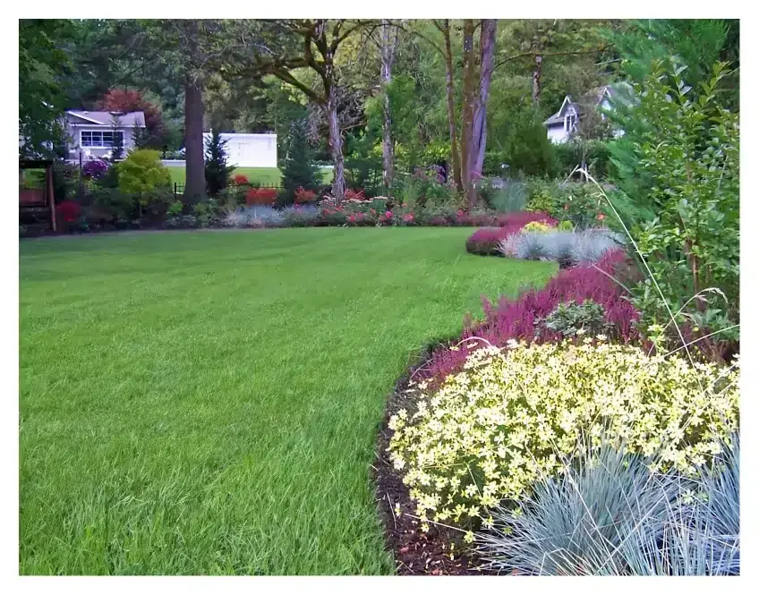 Plants and Trees Yard maintenance in Portland Oregon