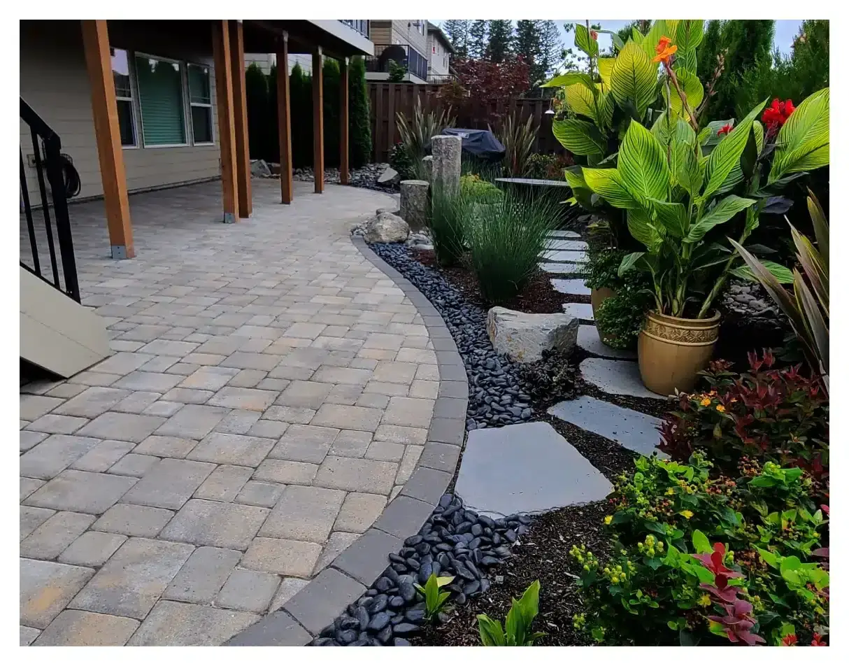 Tropical Plants and Trees in Beaverton Oregon