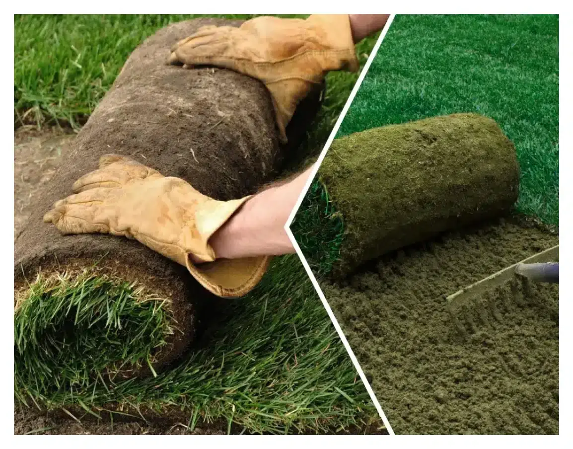 new sod lawns portland oregon