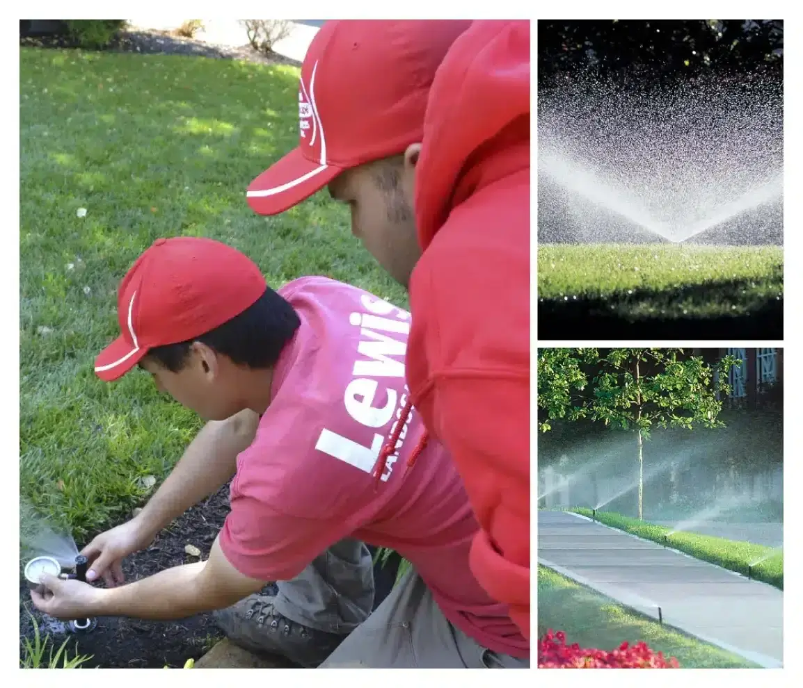 new sod lawns portland oregon