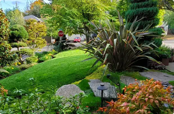 Plants and Trees Design by Lewis Landscapes Services