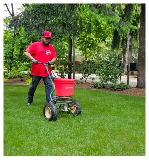 Lawn Landscaping Maintenance Services in Portland Oregon