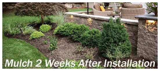 Barkdust Mulch Landscape Company – Portland Oregon