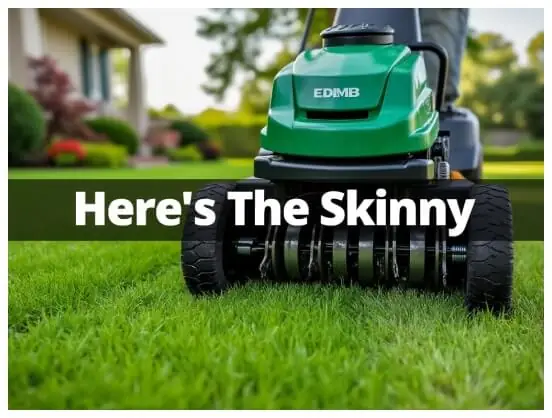 Aerating and De-Thatching Landscape Company – Portland Oregon