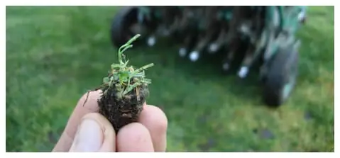 Aerating and De-Thatching Landscape Company – Portland Oregon
