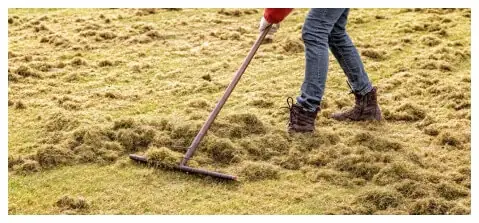 Aerating and De-Thatching Landscape Company – Portland Oregon