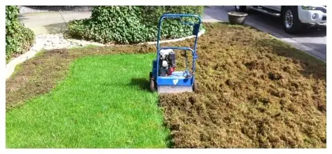 Aerating and De-Thatching Landscape Company – Portland Oregon