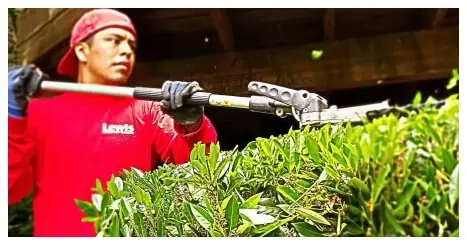 Pruning Landscape Company – Portland Oregon