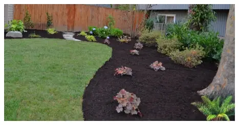 Barkdust Mulch Landscape Company – Portland Oregon