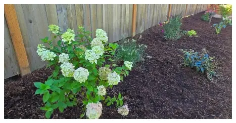 Barkdust Mulch Landscape Company – Portland Oregon
