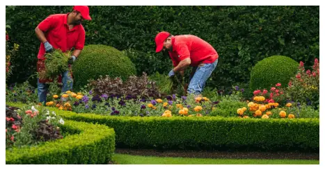 Clean Ups in Portland Oregon