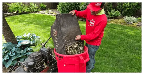 Clean Ups in Portland Oregon