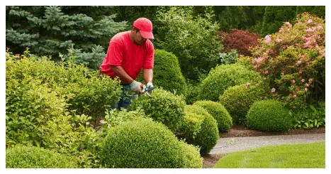Clean Ups in Portland Oregon