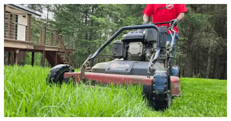 Clean Ups in Portland Oregon