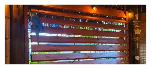 Outdoor Covered Structures, Portland Oregon