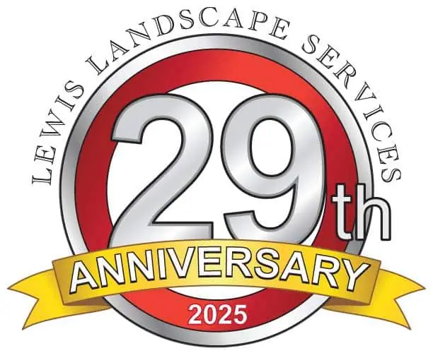 29th Anniversary Logo