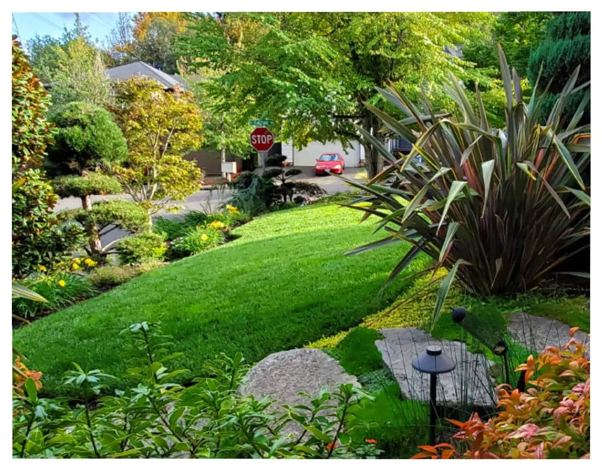 Landscape Design for your front and back yard in Portland Oregon