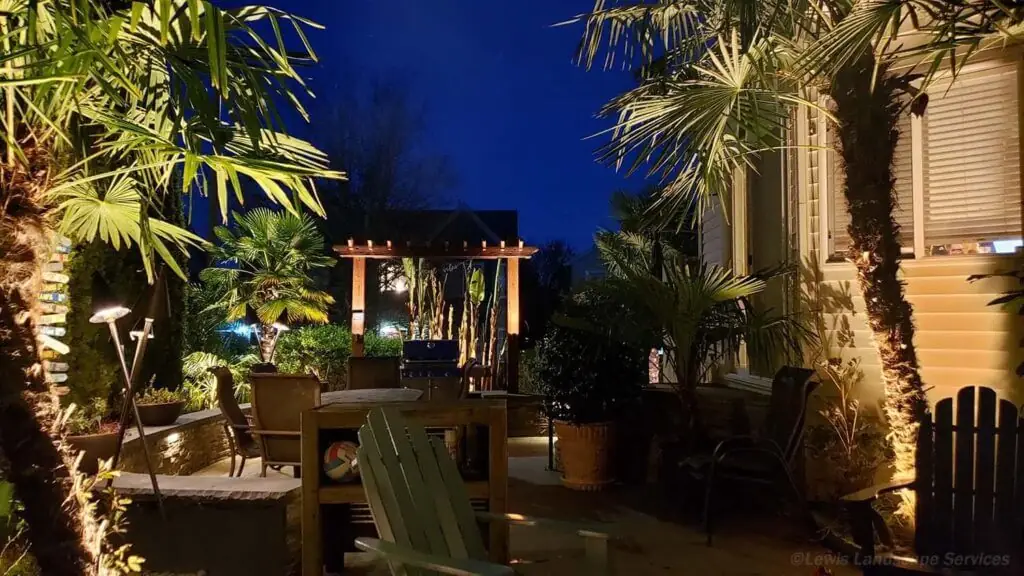 Palm Trees & Tropical Plantings / Landscapes In Portland Area