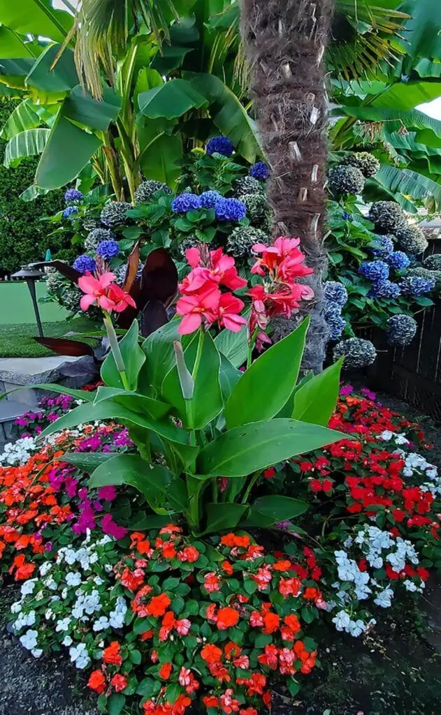 Color flower bed