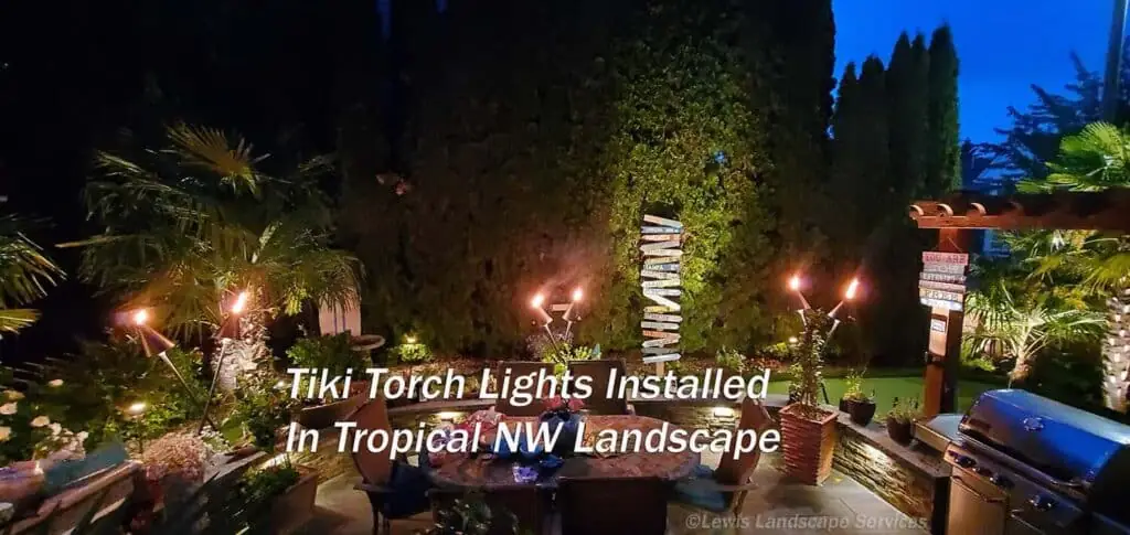Tiki tourcg lights