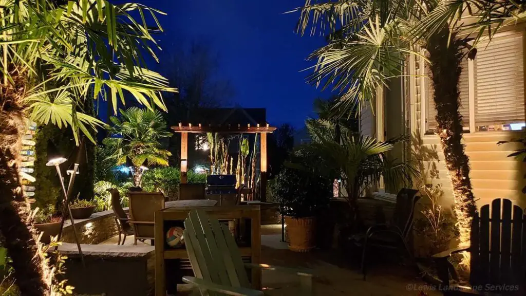 Palm Trees & Tropical Plantings / Landscapes In Portland Area