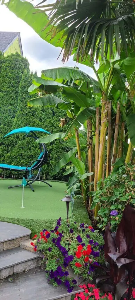 Palm Trees & Tropical Plantings / Landscapes In Portland Area