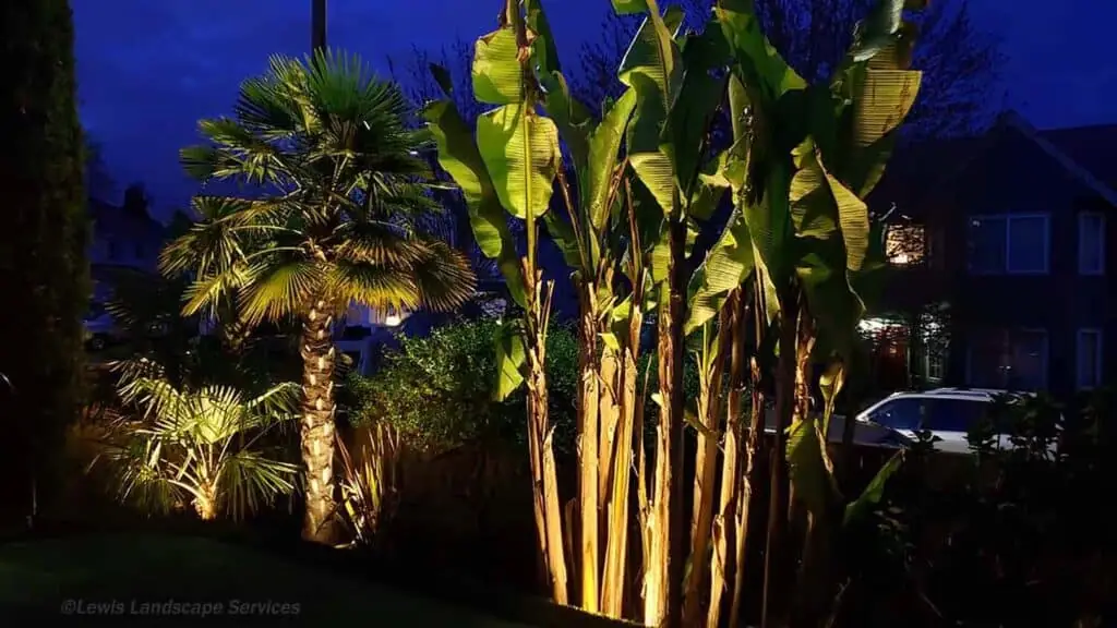 Palm Trees & Tropical Plantings / Landscapes In Portland Area