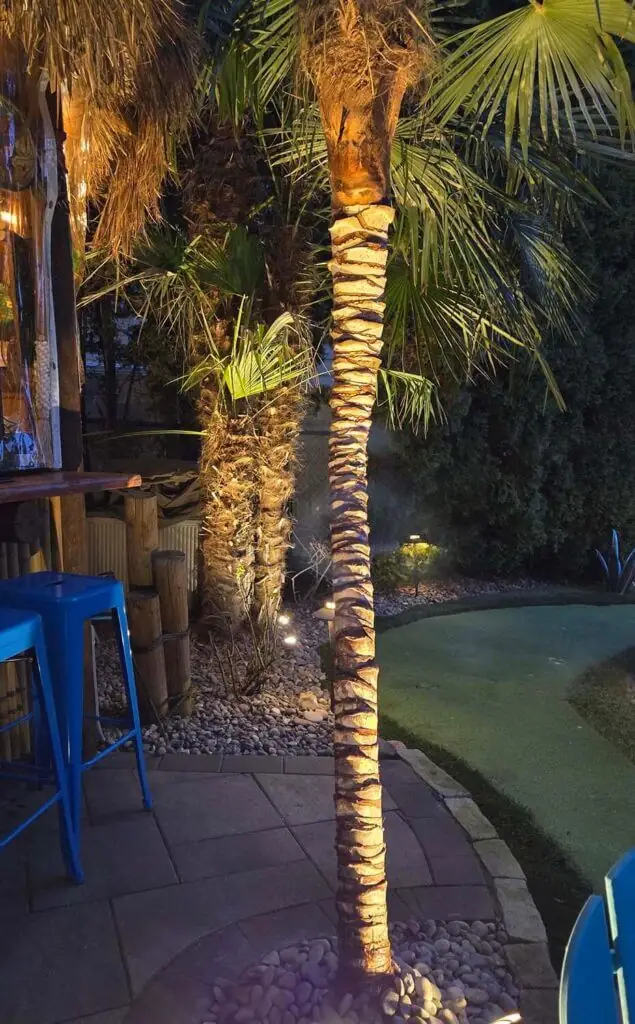 Palm Trees & Tropical Plantings / Landscapes In Portland Area