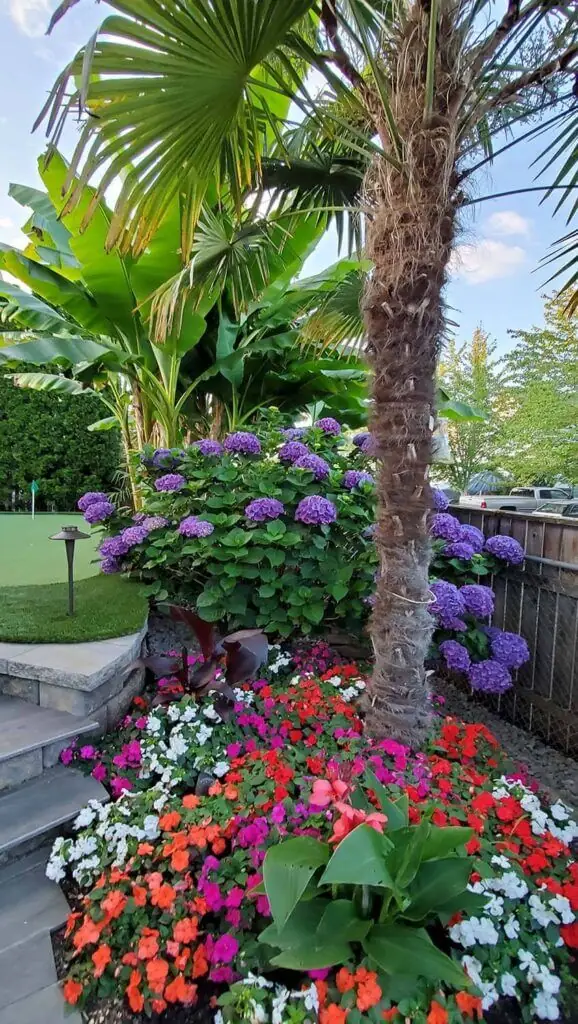 Palm Trees & Tropical Plantings / Landscapes In Portland Area