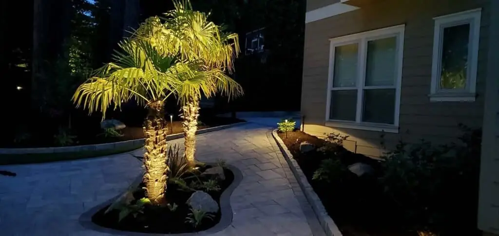 Palm Trees & Tropical Plantings / Landscapes In Portland Area