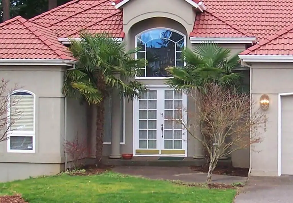 Palm Trees & Tropical Plantings / Landscapes In Portland Area