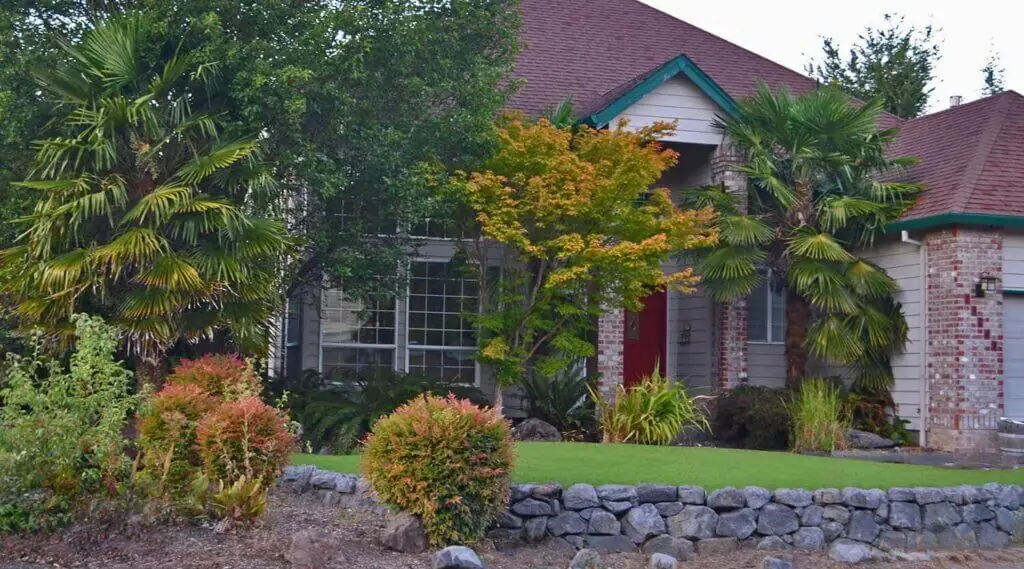 Palm Trees & Tropical Plantings / Landscapes In Portland Area