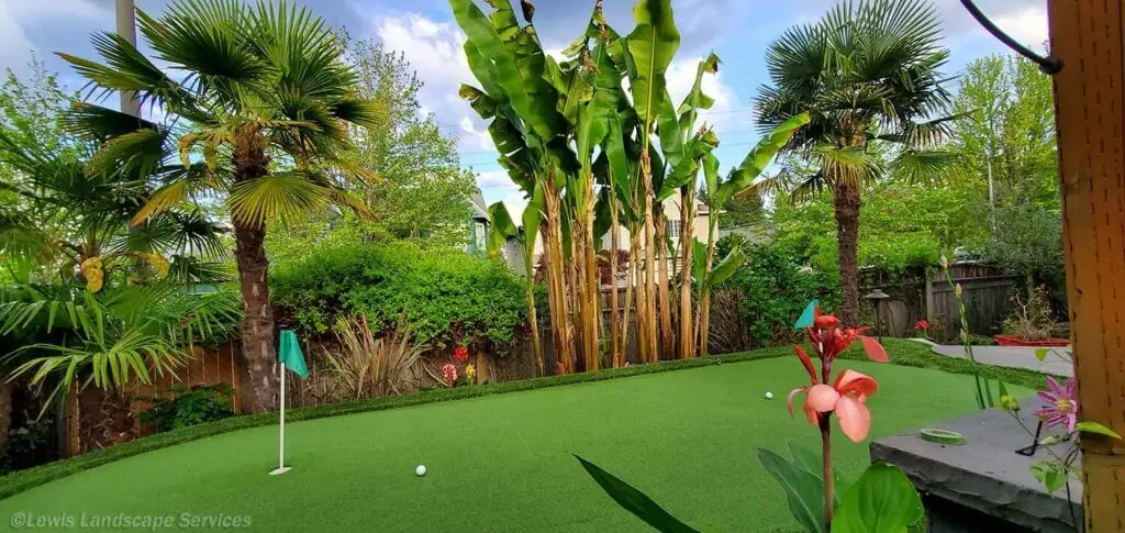 Palm Trees & Tropical Plantings / Landscapes In Portland Area