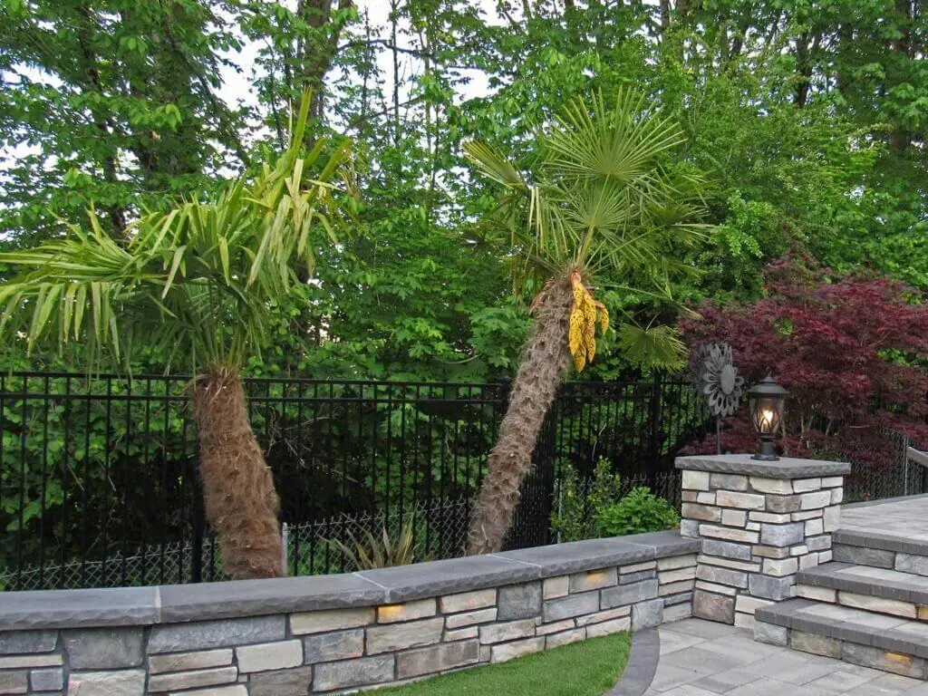 Palm Trees & Tropical Plantings / Landscapes In Portland Area