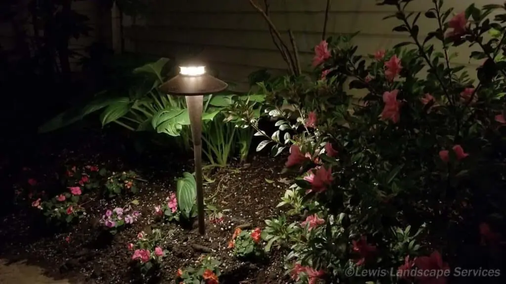 Palm Trees & Tropical Plantings / Landscapes In Portland Area