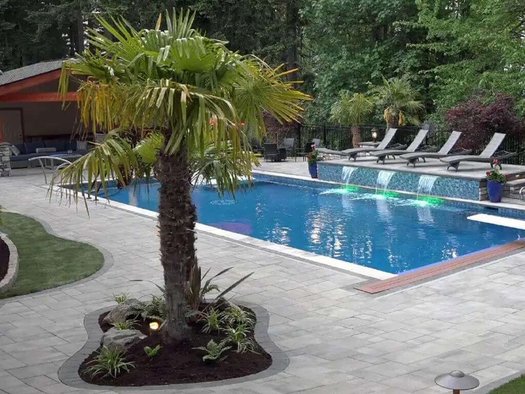 Palm Trees & Tropical Plantings / Landscapes In Portland Area