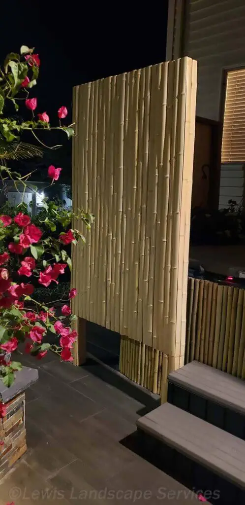 Palm Trees & Tropical Plantings / Landscapes In Portland Area