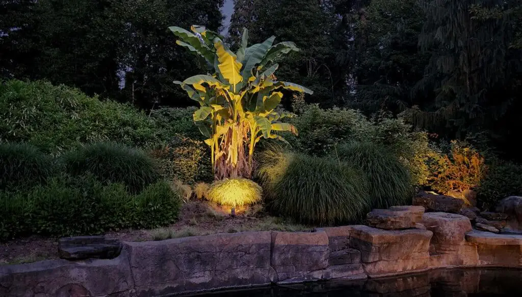 Lights and flower displays