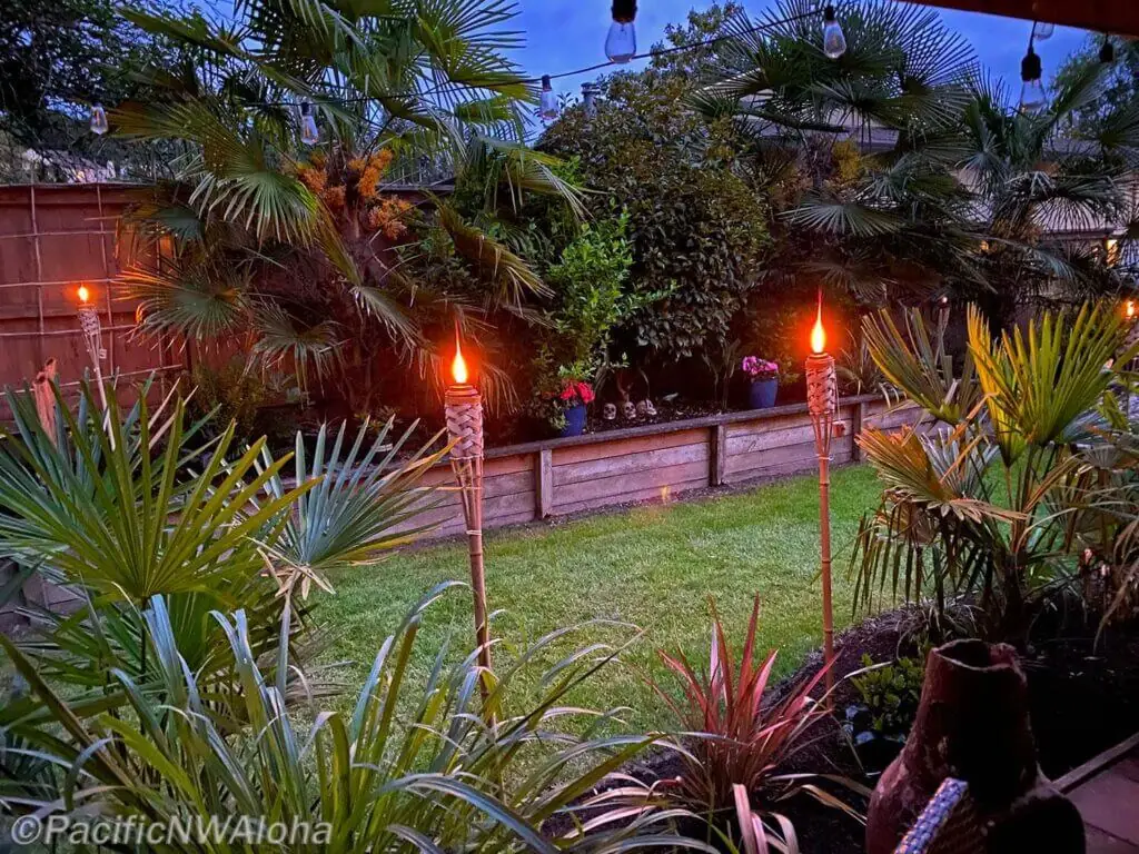 Palm Trees & Tropical Plantings / Landscapes In Portland Area