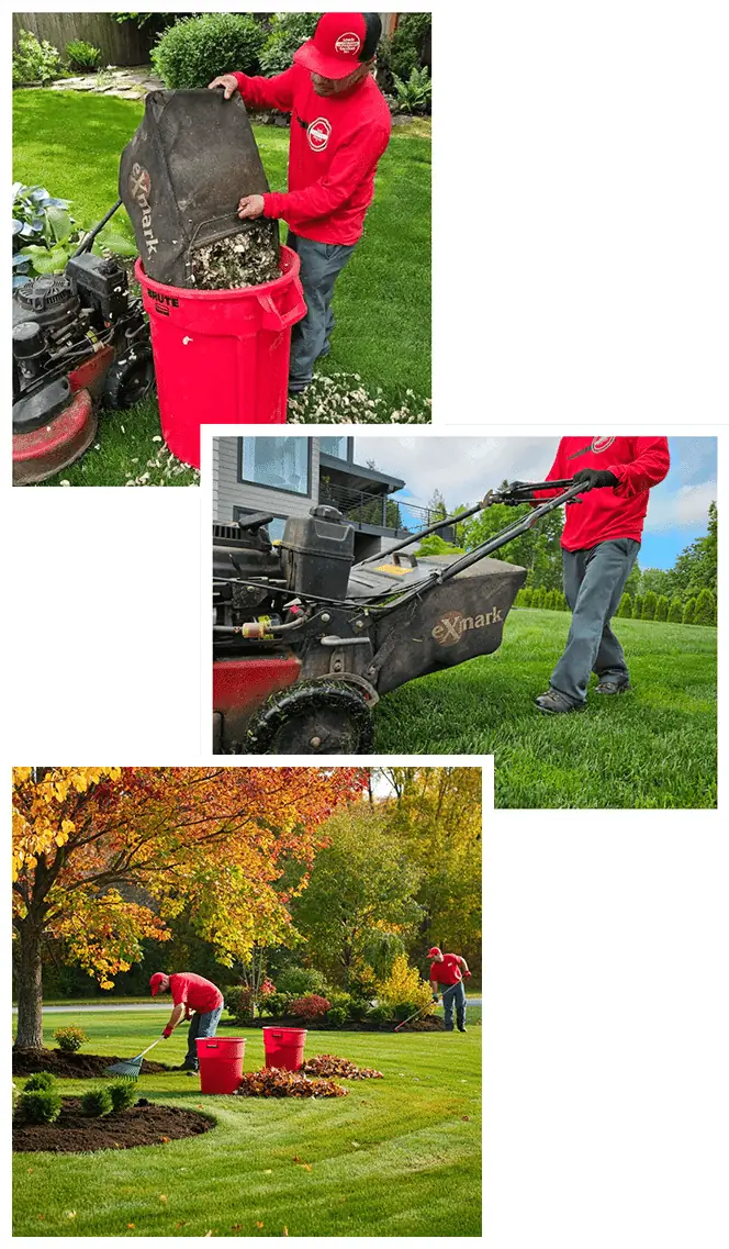 Lewis Landscaping Garden Maintenance Service Beaverton Oregon