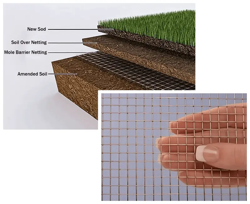 New Sod Lawn Care Portland Oregon