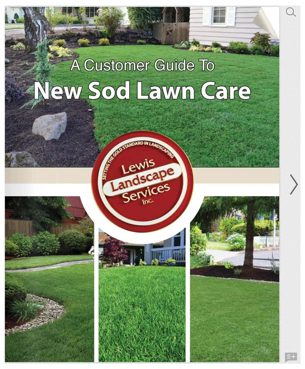 New Sod Lawn Care Portland Oregon